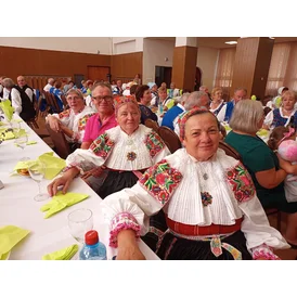 Krajská prehliadka SPEVY DOMOVA 2024